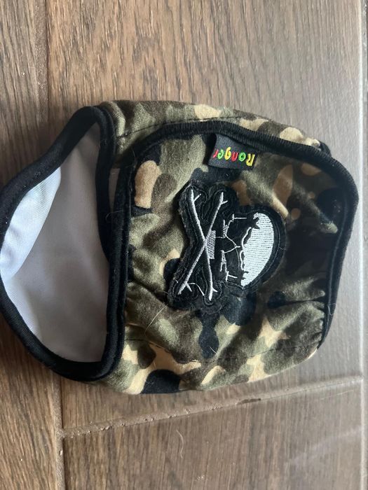 Ubranko york, Maltańczyk, chihuahua, kurteczka, bluza, sweterek, flexi