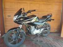 Honda cbf 125, cbr na kategorie B