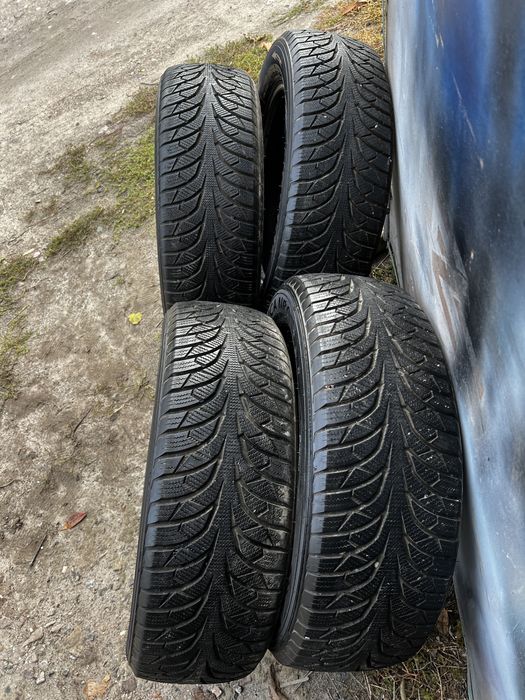 Rydanz Nordica NR01 225/60 R18 стан нової