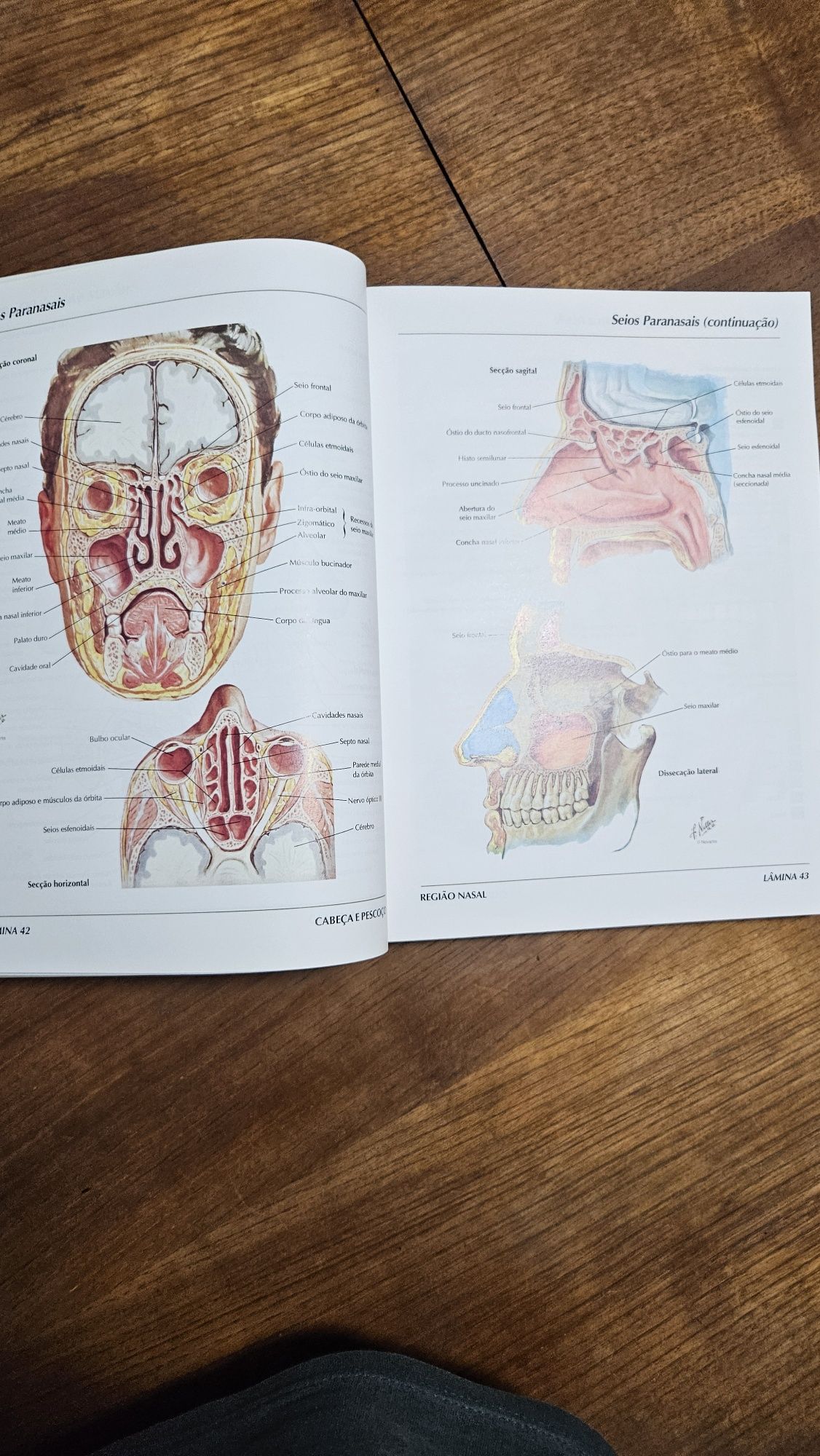 Atlas Anatomia Humana - Netter