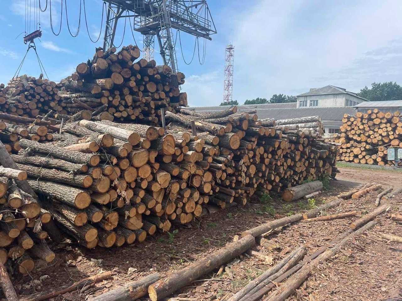 Продам дрова Київ