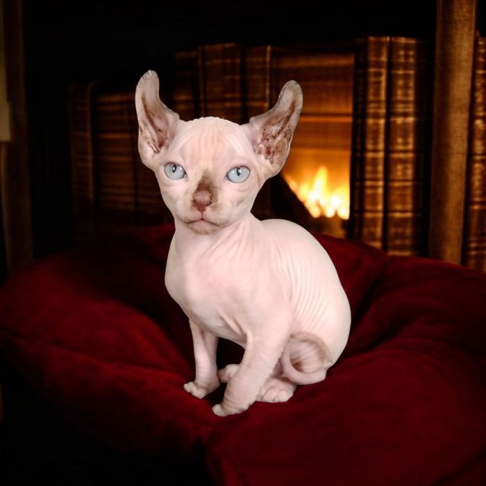 Эльфийский малыш