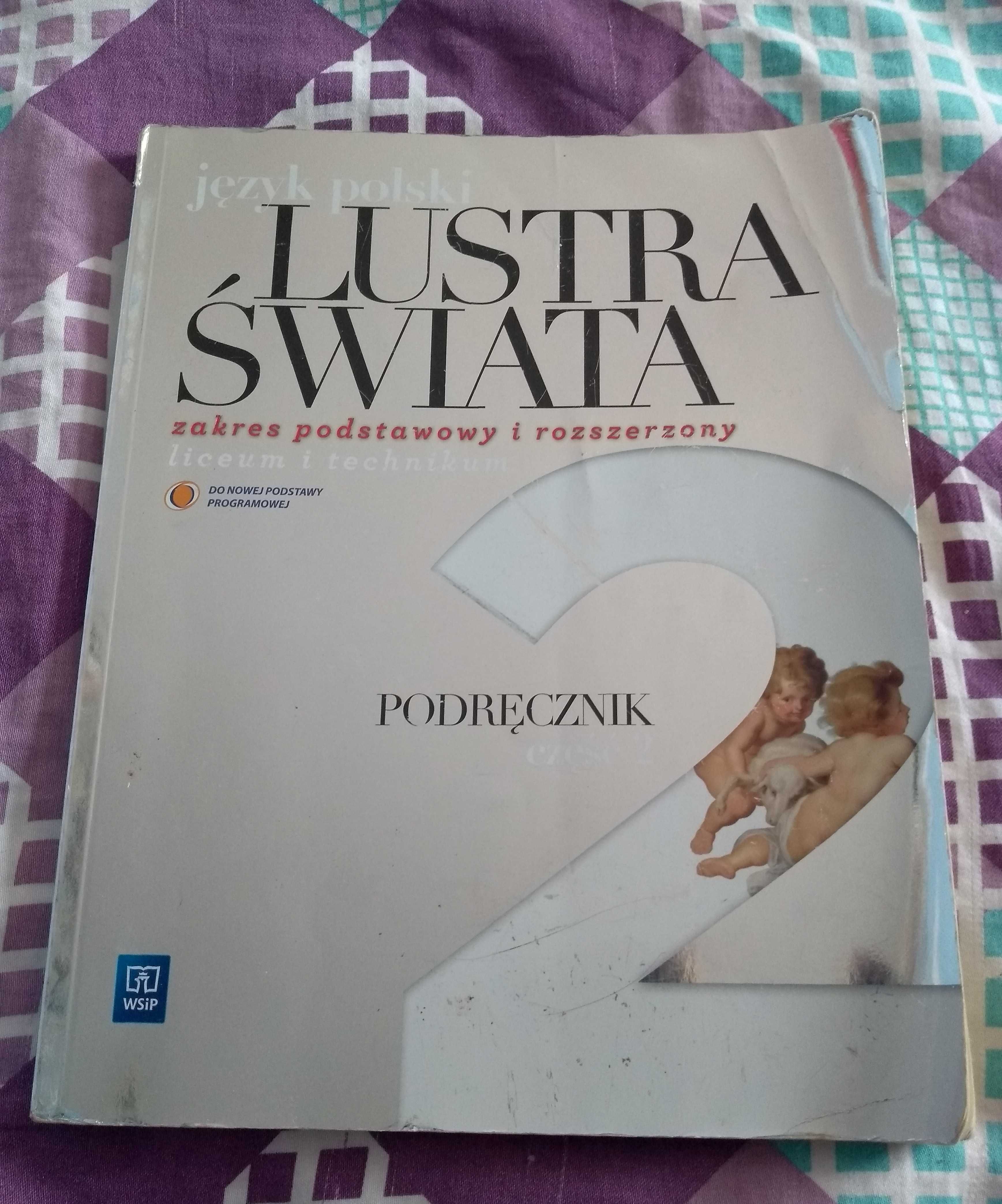 Podręcznik lustra świata 2