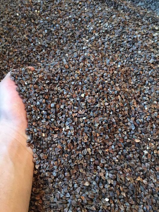 Продам гречку