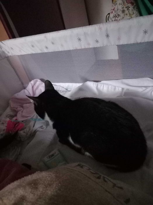 Camas de bebe next to me
