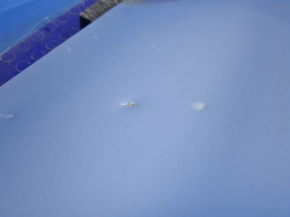 KLAPA bagażnika tylna pokrywa AUDI A3 S3 8V SEDAN 8V5 oryginał LX7W