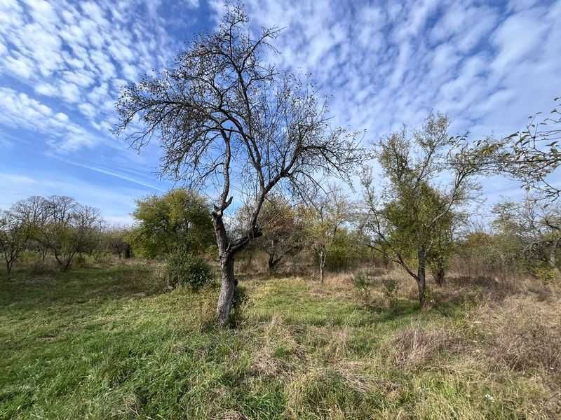 Оренда ділянки під заклади освіти 4га смт.Батьово