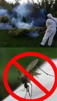 Дезінсекція ,Знищення комарів,обробка територіі