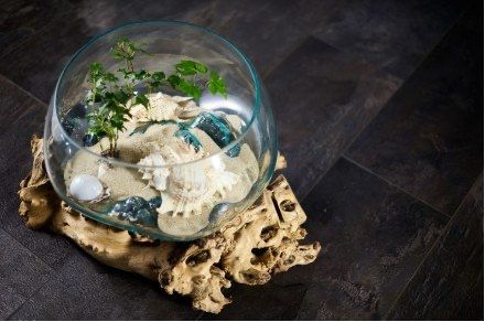 Декоративна ваза ручної роботи Jumbo, флораріум "Балі"