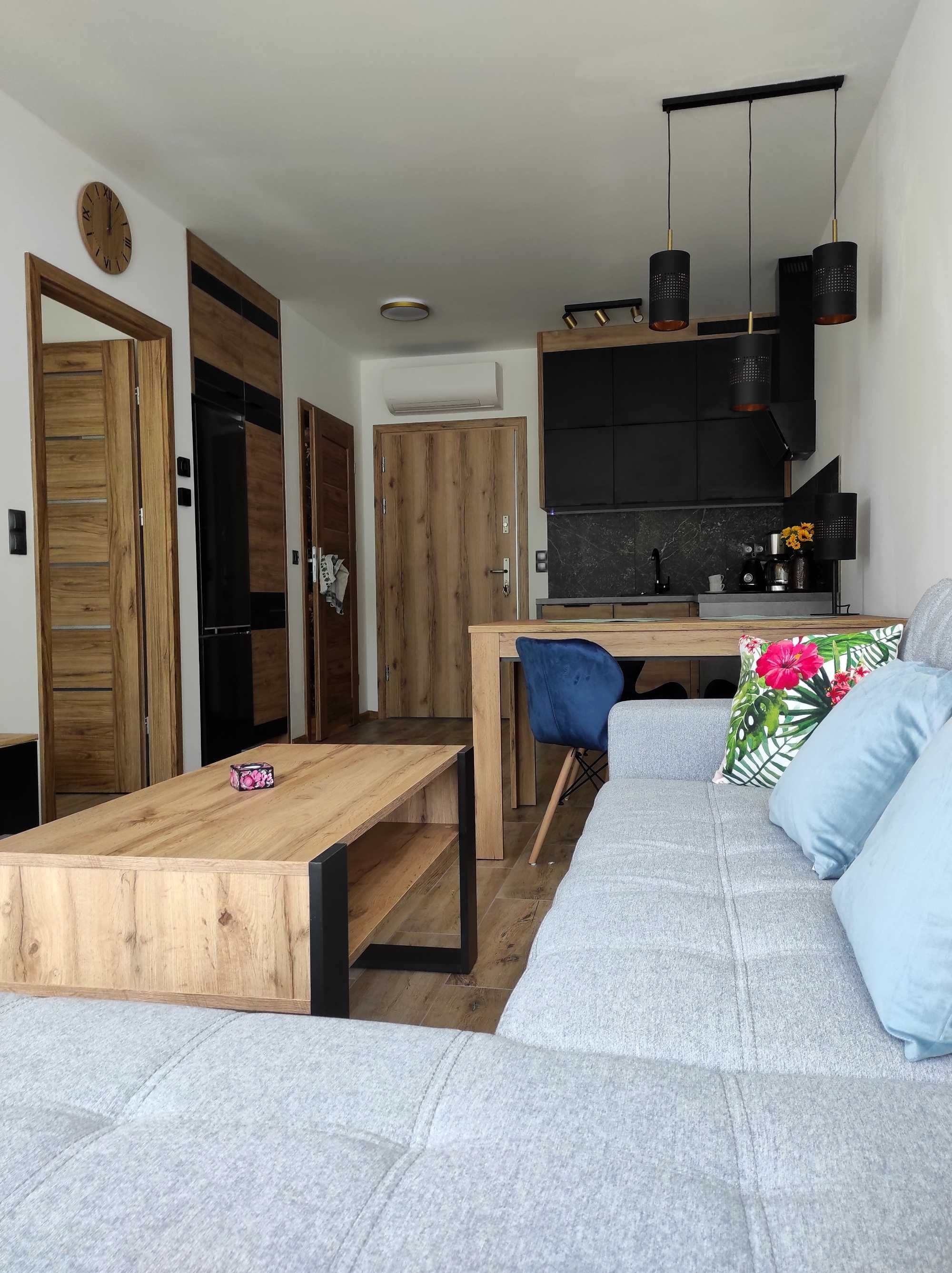 Apartament z klimatyzacją pod Szyndzielnią na wynajem