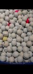 Piłki do gry w golfa używane mix 2.5zl. szt wysyłka gratis od 100szt.