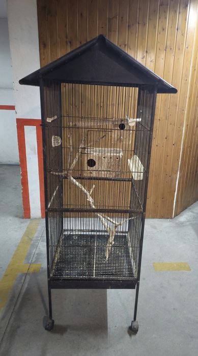 Gaiola passaros grande