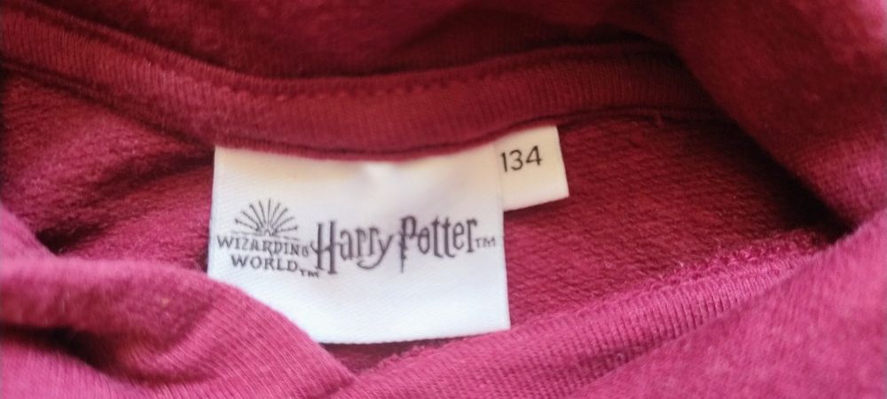 Bluza z kapturem 134