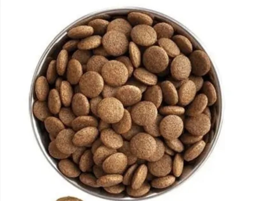 Корм для собак сухий