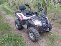 Quad Asix Magnum 250