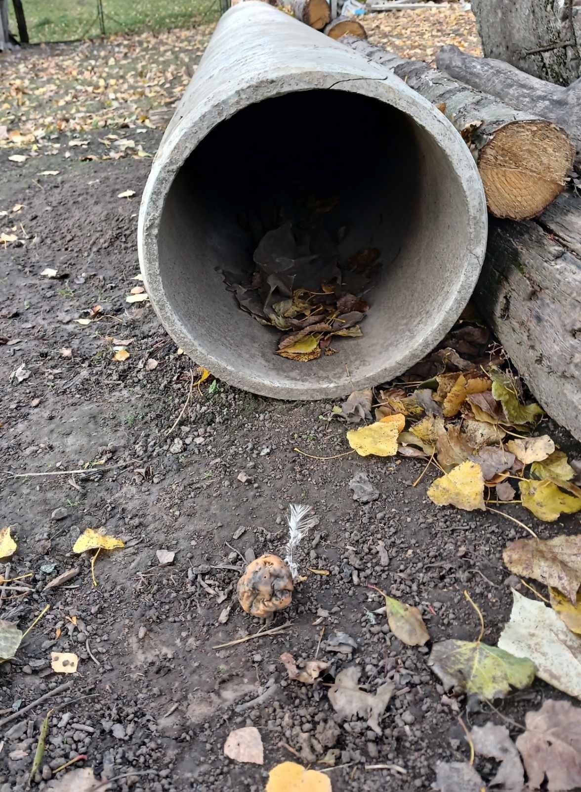 Продам азбестову трубу