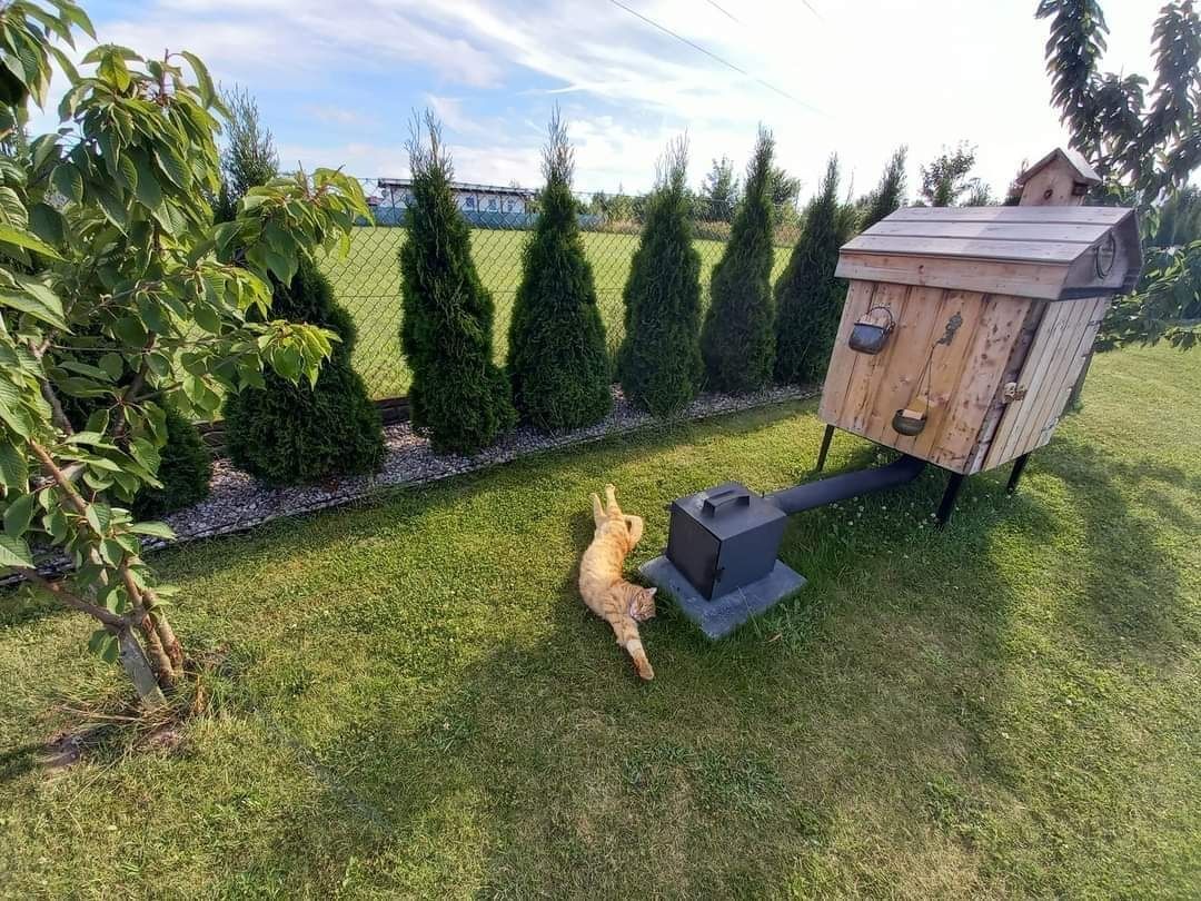 Od 6.08 wolny domek morze SARBINOWO basen jacuzzi