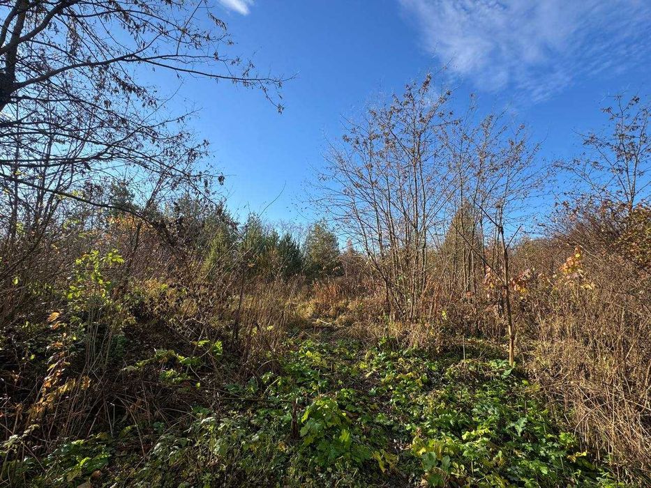 Продається  ділянка в с.Жорниська біля с.Домажир, 95 сот, промзона