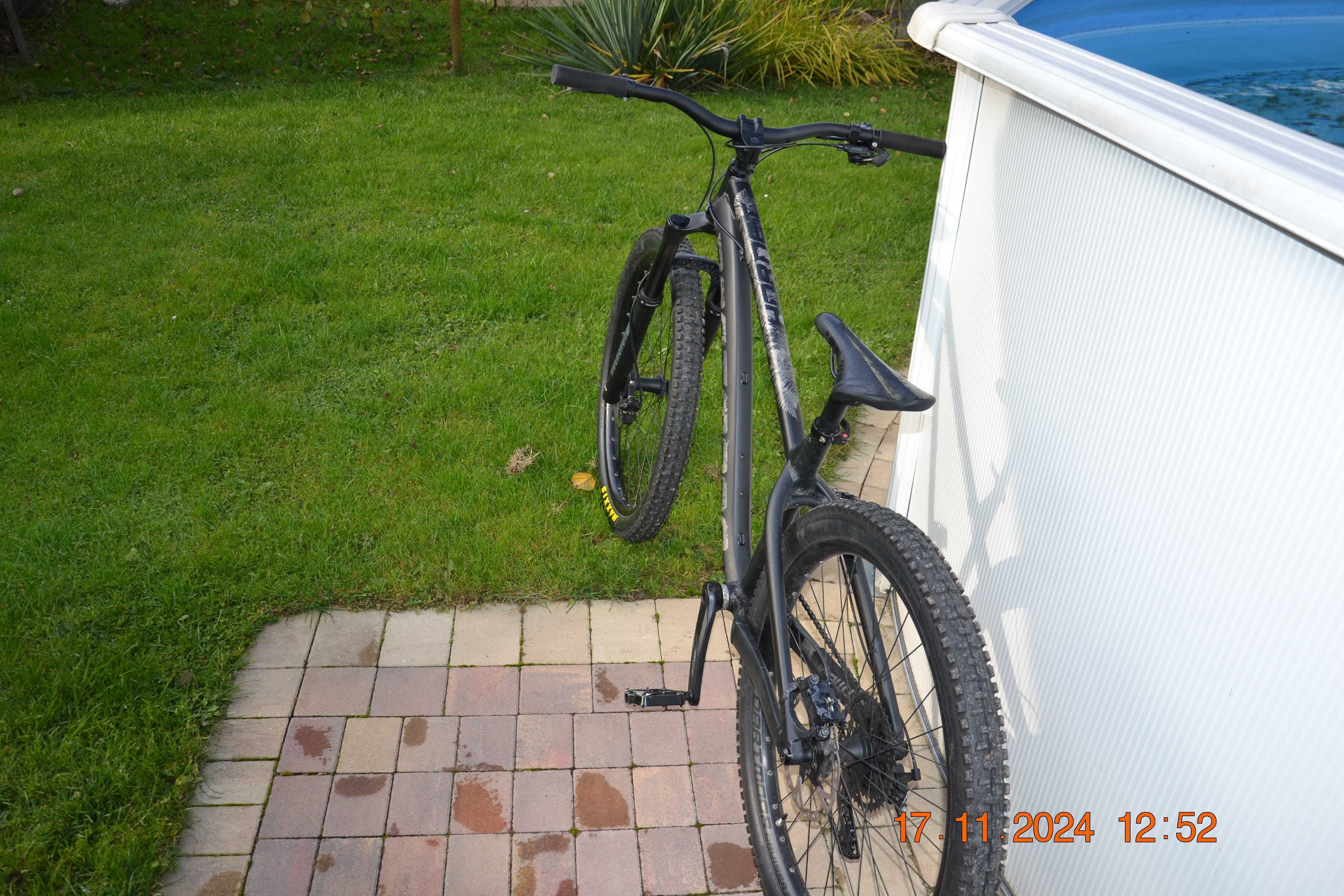 dartmoor hornet 2022 M