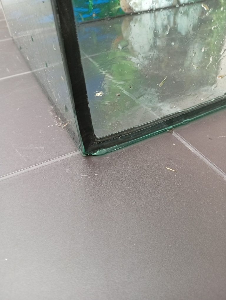 Akwarium 31,5l prostokatne