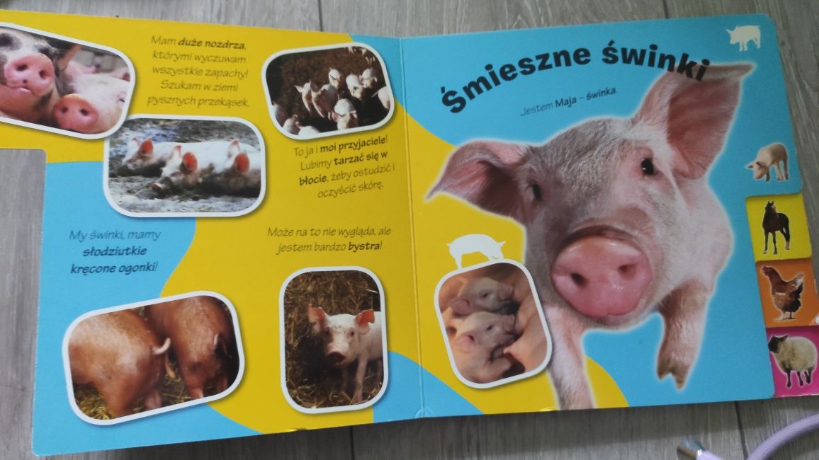 Uśmiechnij się zwierzęta na farmie książka owca krowa koń kura świnia
