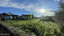Terreno com Viabilidade de Construção