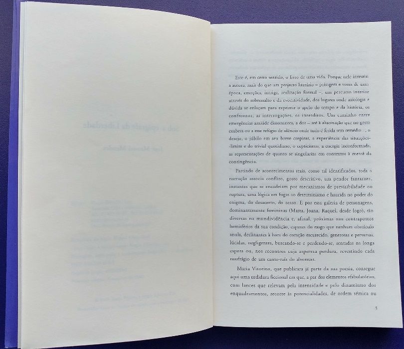 "De Barro, Cimento e Perfume" Maria Vitorino, Hugin 2003 (como NOVO)