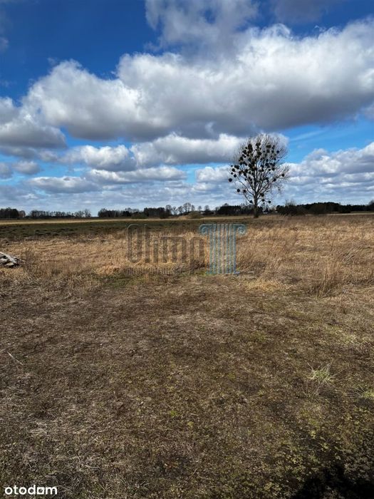 Dzialka 8,34 ha Lubaszcz gm.Naklo