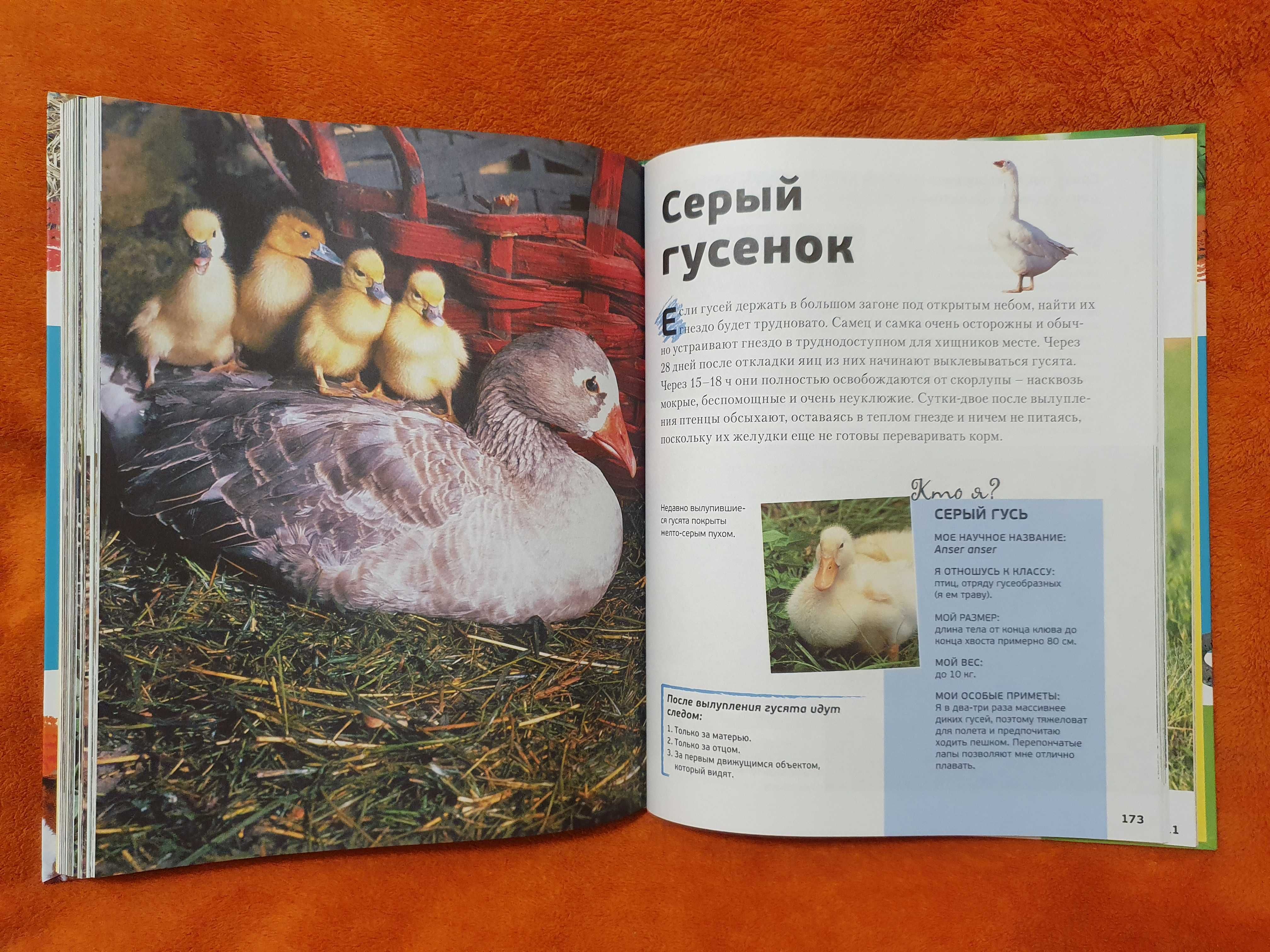 Энциклопедия животных для детей Знакомые малыши