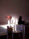 MESA IKEA VIHALS + 4 CADEIRAS TEODORES