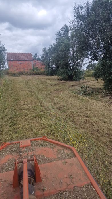 limpeza de terrenos/ desmatação/ venda de lenha