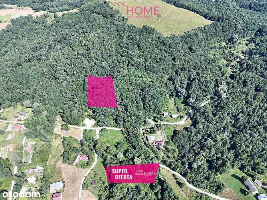 Działka Nowy Borek - 29,80 a