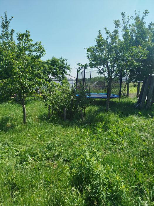 Продам 2 будинки..25 соток!!!