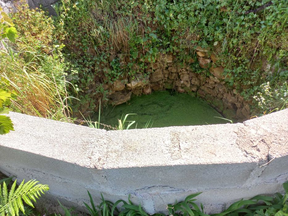 Terreno construção - Penedo - Vila de Rei