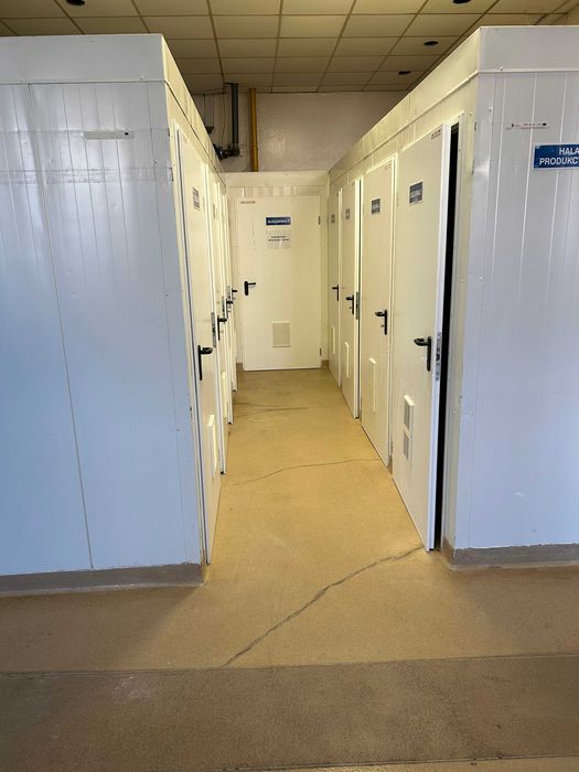 lokal użytkowy 700 m2 w Radomiu ul.Słowackiego 100