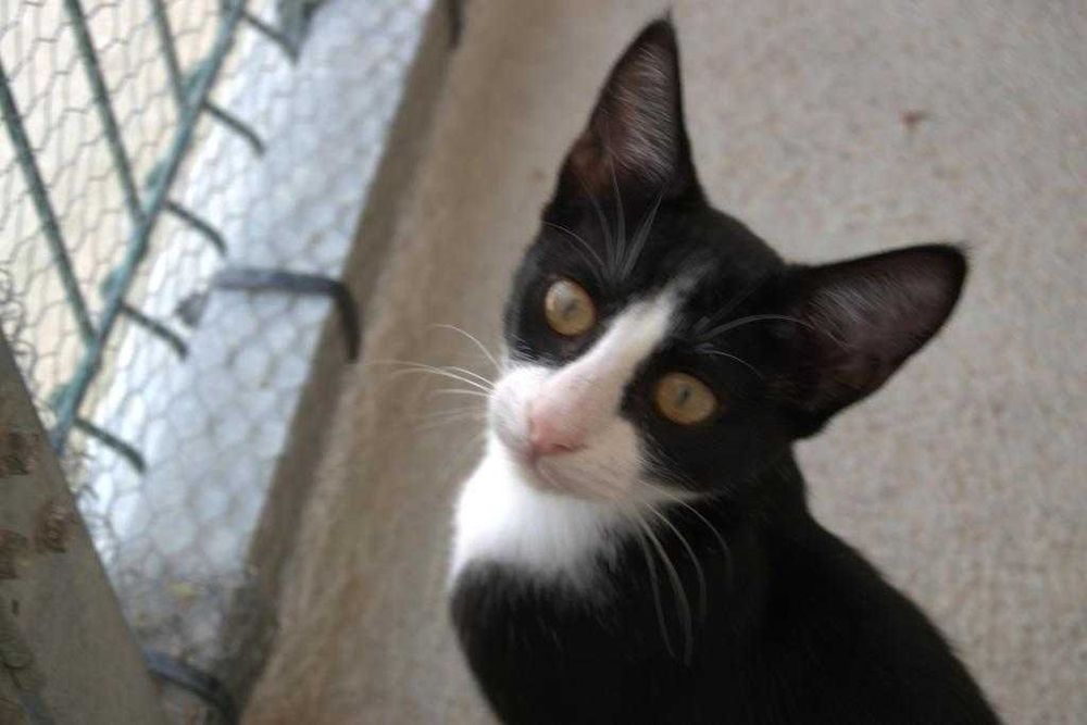 Lucy - Procura família 5 estrelas