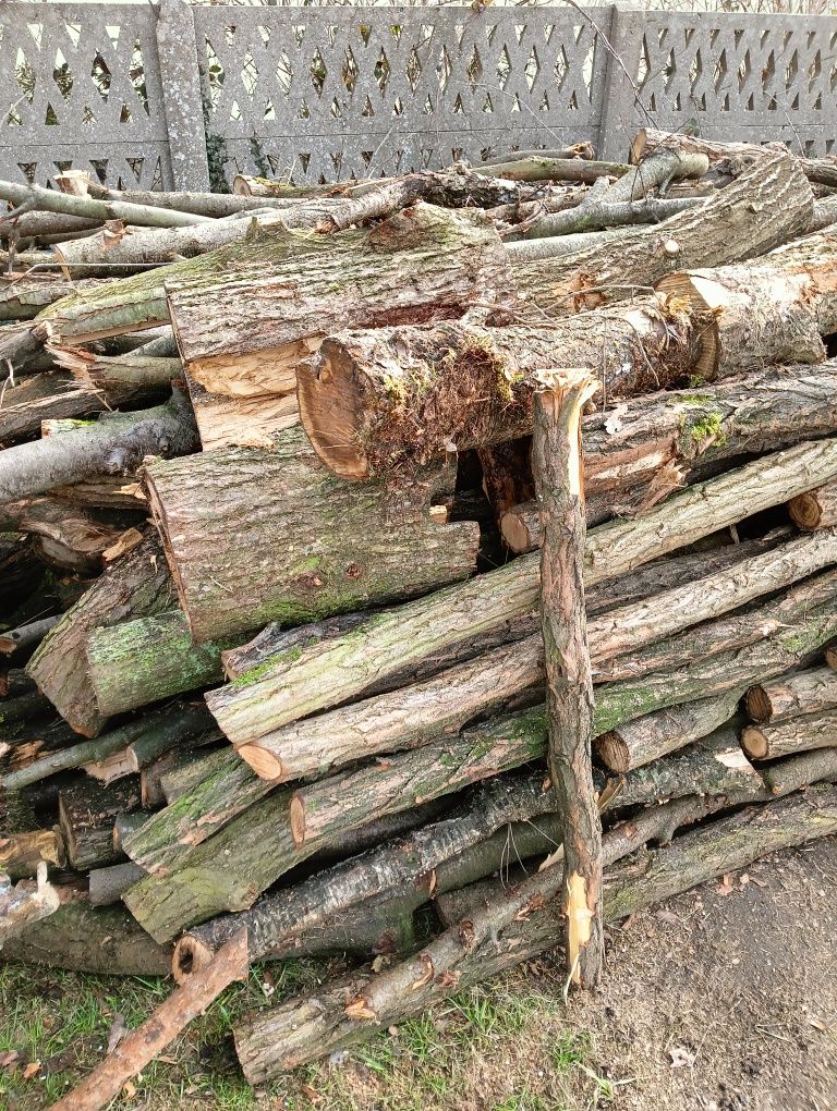 Drewno opałowe mieszane akacja dąb czeremcha