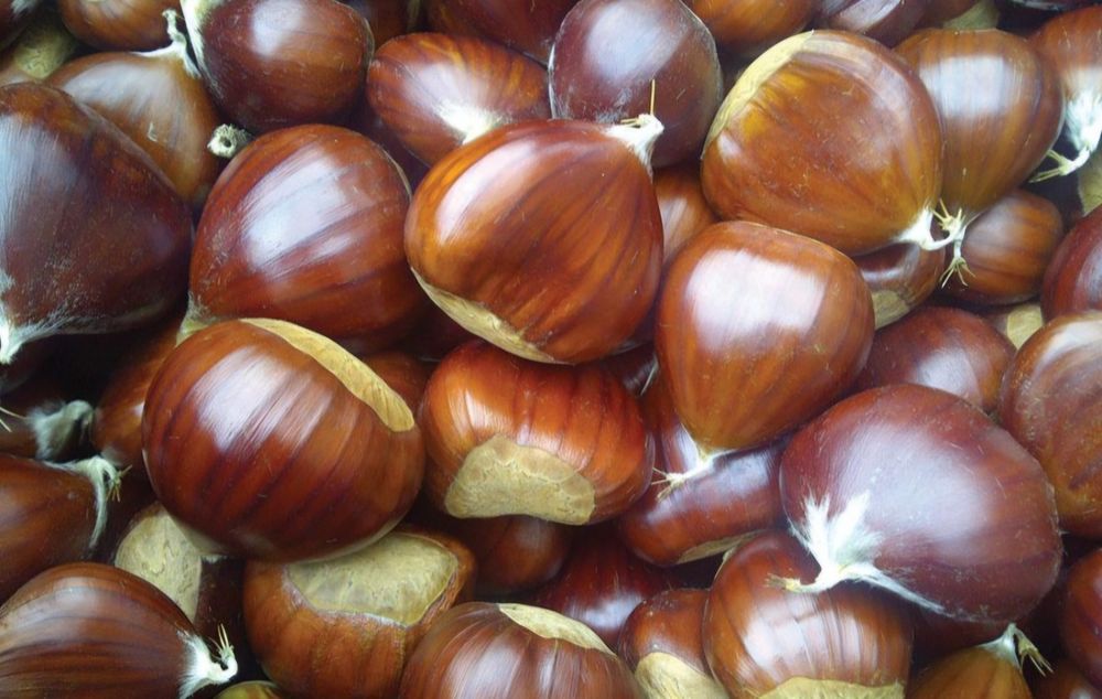 Castanhas Biológicas