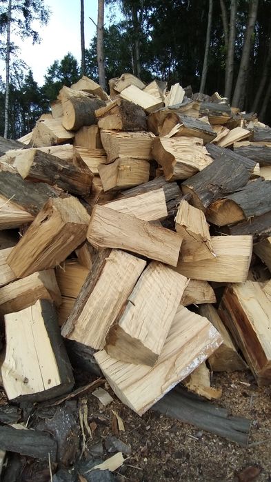 Sezonowane drewno kominkowe opalowe DAB JESION BRZOZA SOSNA OLCHA