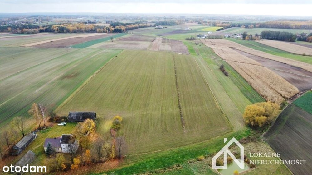 Grunty rolne w miejscowości Wirów na sprzedaż!