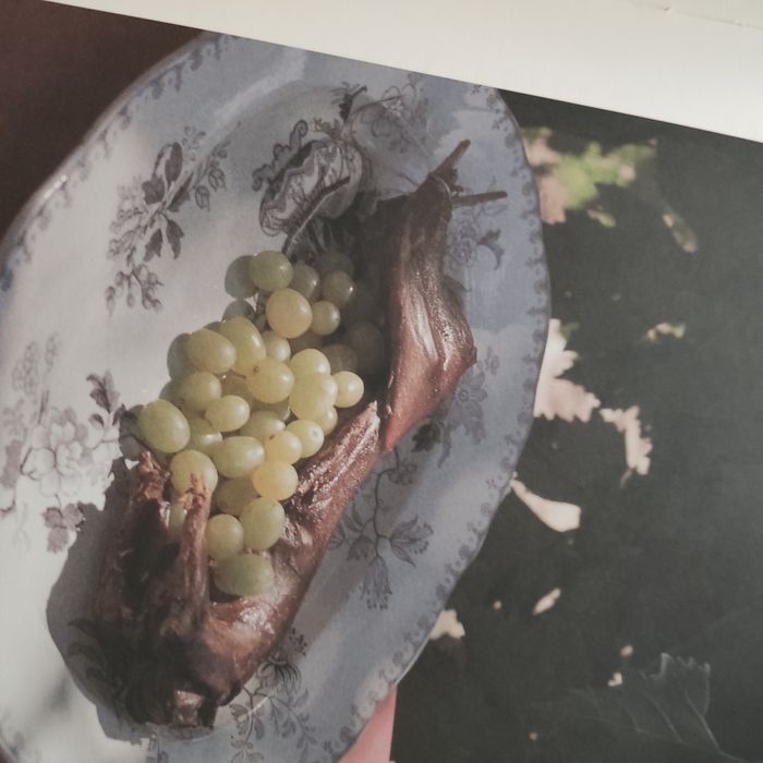 "Cozinha Transmontana" de Alfredo Saramago