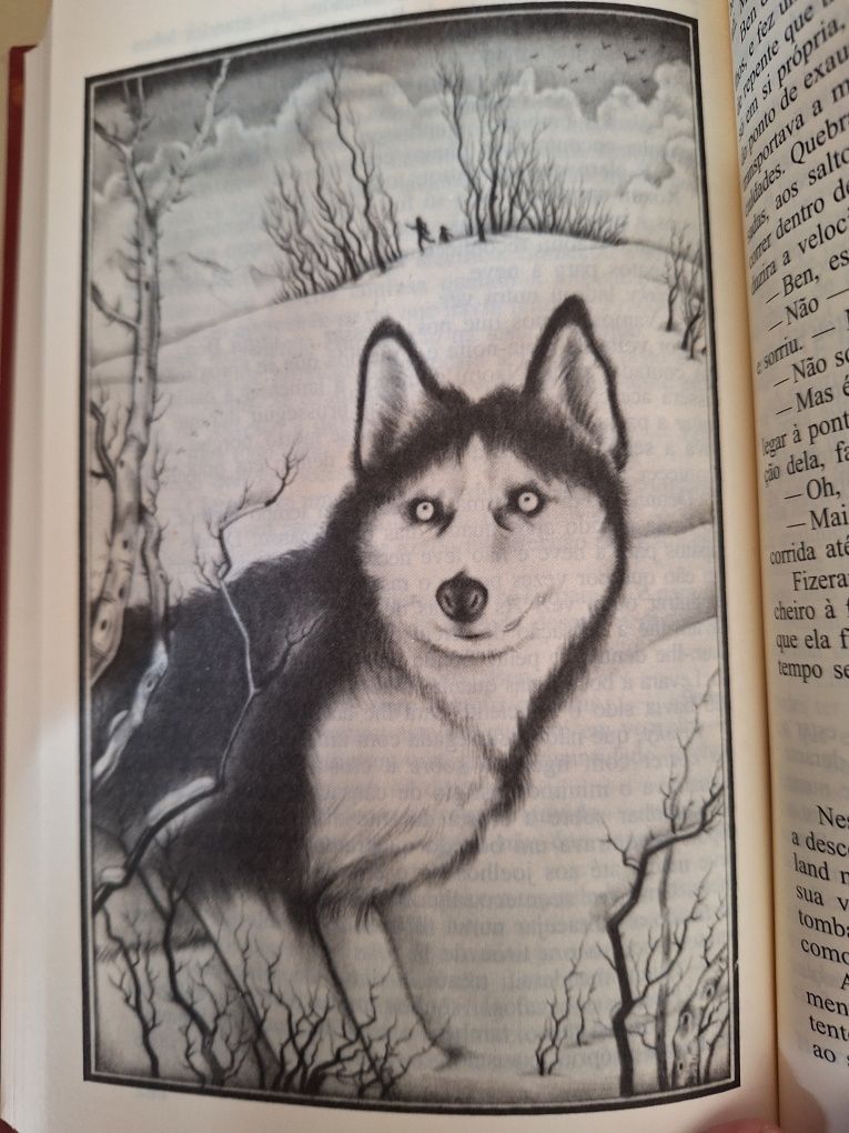 Os olhos do dragão, de Stephen king