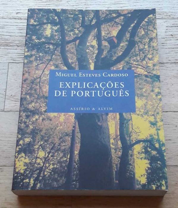 Explicações de Português, de Miguel Esteves Cardoso