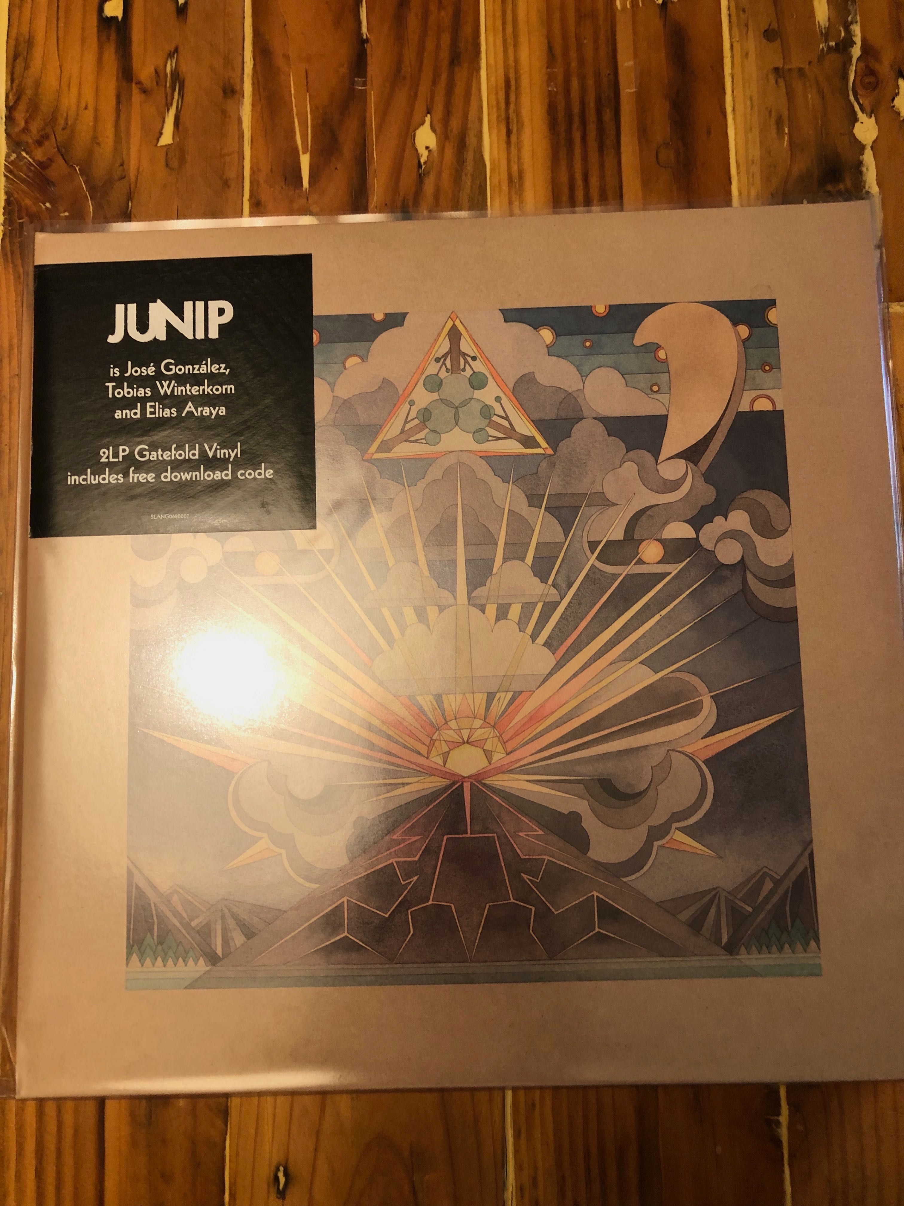 LP´s vinil Junip