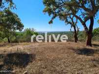 Quinta de 4,6 hectares com vista mar junto a Melides