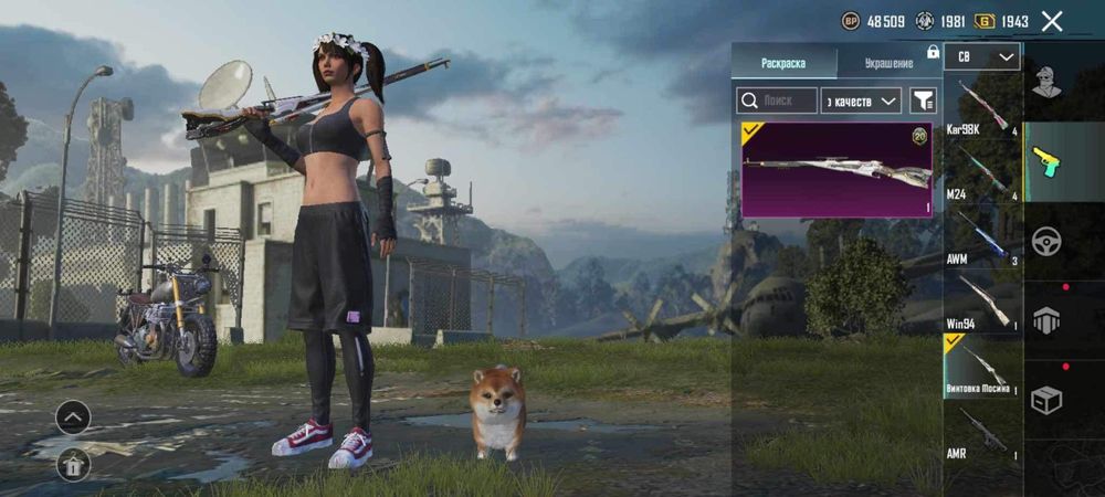 PUBG mobile Account