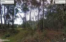 Terreno  para venda