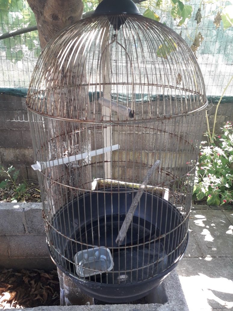 Gaiola para os pássaros