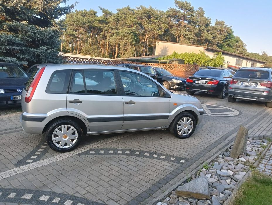 Ford Fusion Lift 2006r., 1,3 cm benzyna, zarejestrowany w Polsce