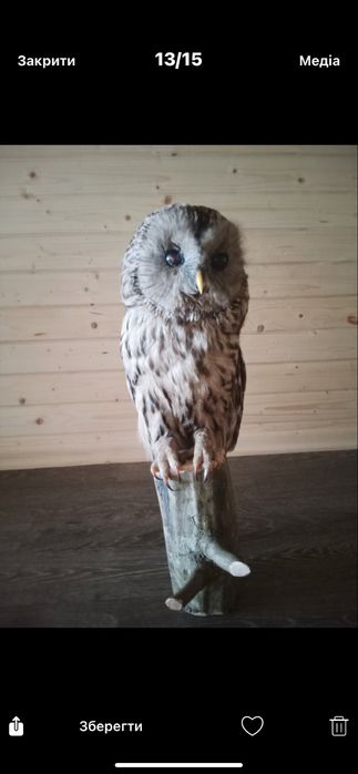 Сова сувенір різні є